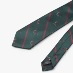 Patterned Tie CV077